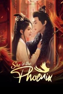 She Is the Phoenix (2025) Ep 28 Eng Sub