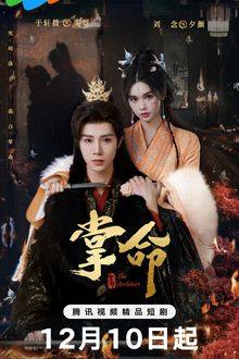 The Architect (2025)