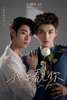 Till I See You (2026)